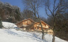 Le Chalet Vue Mont-Blanc